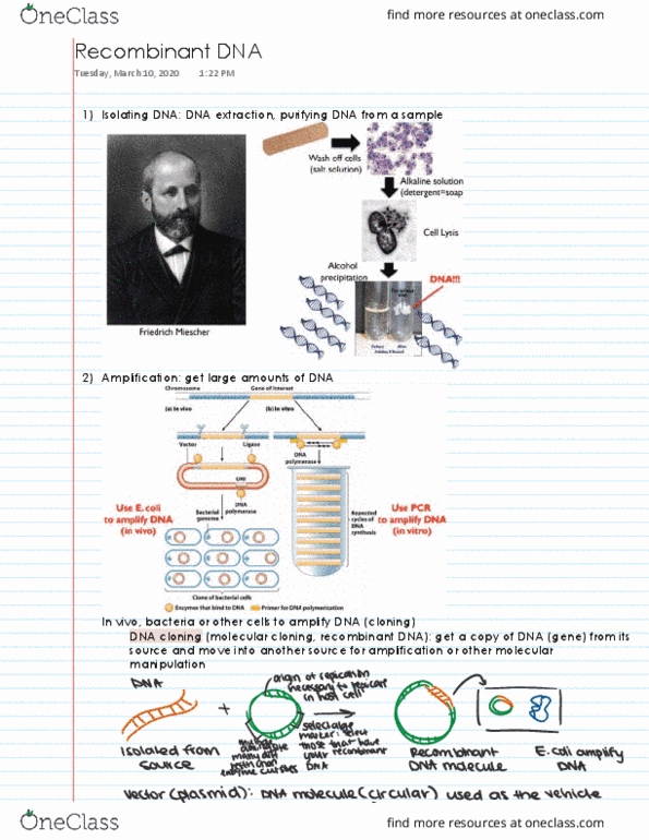 BIS 101 Lecture 19: Recombinant DNA thumbnail