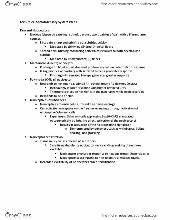 NPB 110 Lecture Notes - Lecture 24: Noxious Stimulus, Schwann Cell, Nociceptor thumbnail