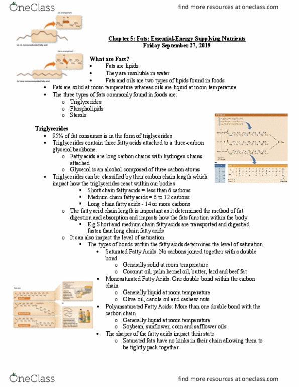 NSE-12B Lecture Notes - Lecture 5: Palm Kernel Oil, Canola, Coconut Oil thumbnail