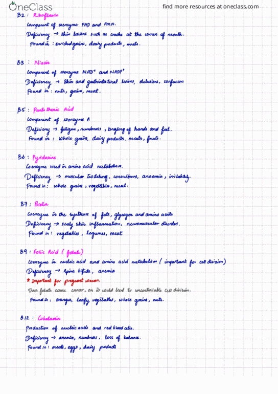 BIOL 315 Lecture Notes - Lecture 13: Spina Bifida, Folic Acid, Pyridoxine thumbnail