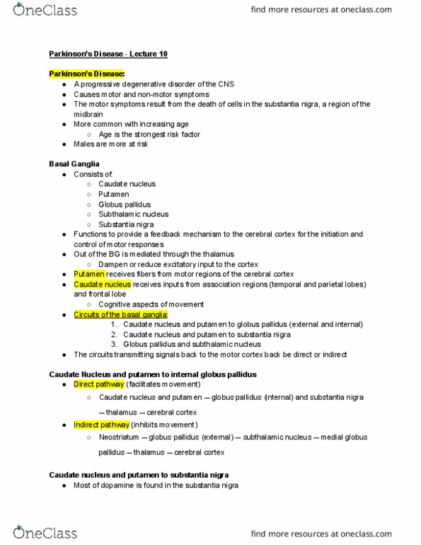 ENS 307 Lecture Notes - Lecture 10: Medial Globus Pallidus, Substantia Nigra, Subthalamic Nucleus thumbnail