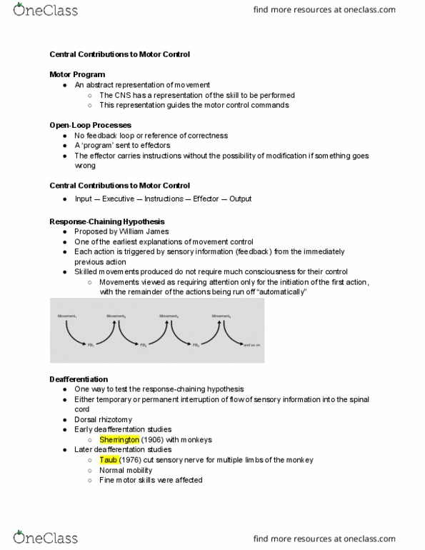 ENS 307 Lecture Notes - Lecture 7: Rhizotomy, Motor Program, Motor Control thumbnail