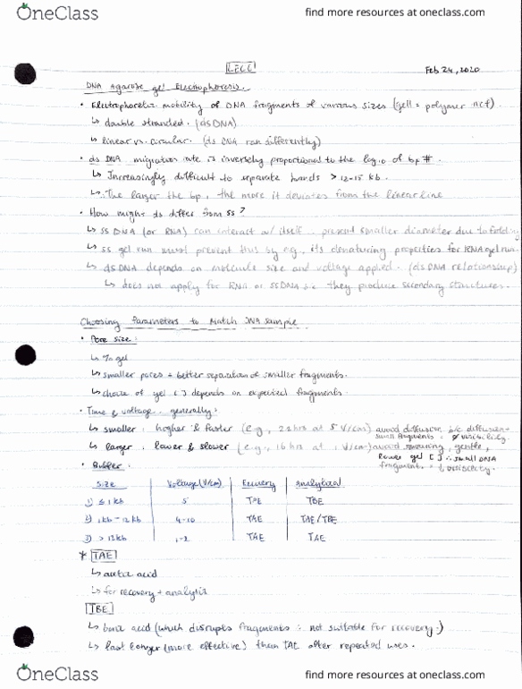 BIO314H5 Lecture Notes - Lecture 6: Illinois Route 111, Joule thumbnail