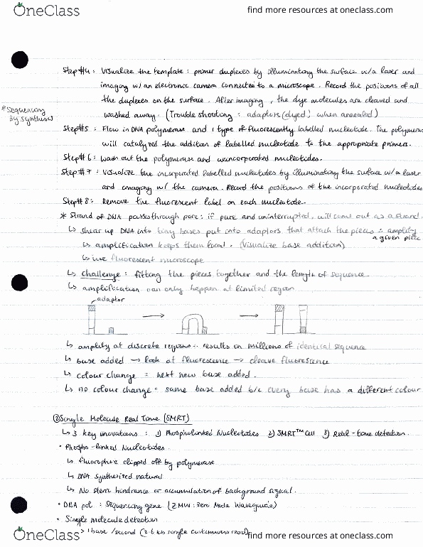 BIO314H5 Lecture Notes - Lecture 8: Ope thumbnail