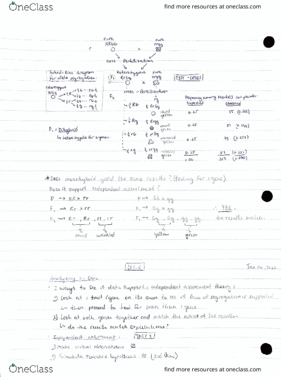 BIO207H5 Lecture Notes - Lecture 3: Tibet thumbnail