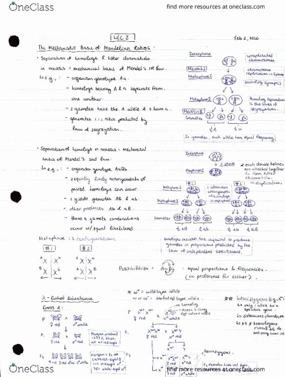 BIO207H5 Lecture Notes - Lecture 8: Academy Of Management, Tibet, Toxic Equivalency Factor thumbnail