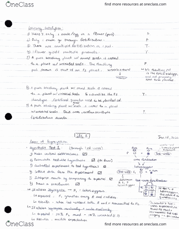 BIO207H5 Lecture Notes - Lecture 2: University Of Houston, Eocene thumbnail