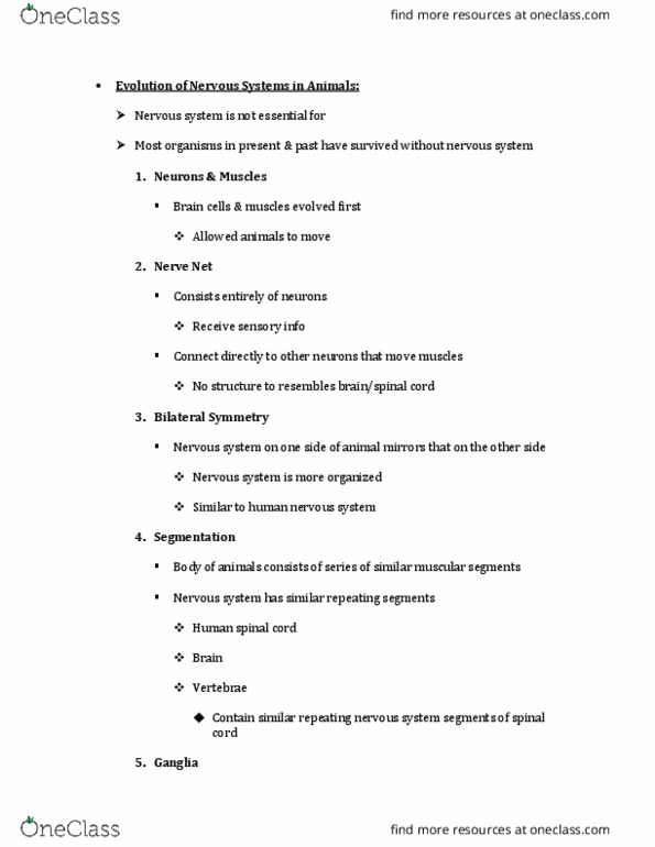 CORE-UA 306 Lecture Notes - Lecture 9: Notochord, Encephalization, Invertebrate thumbnail