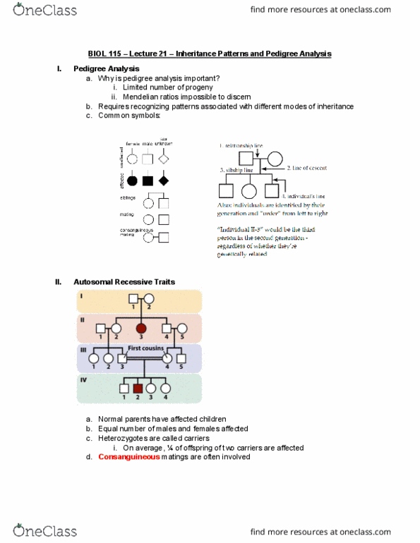 document preview image