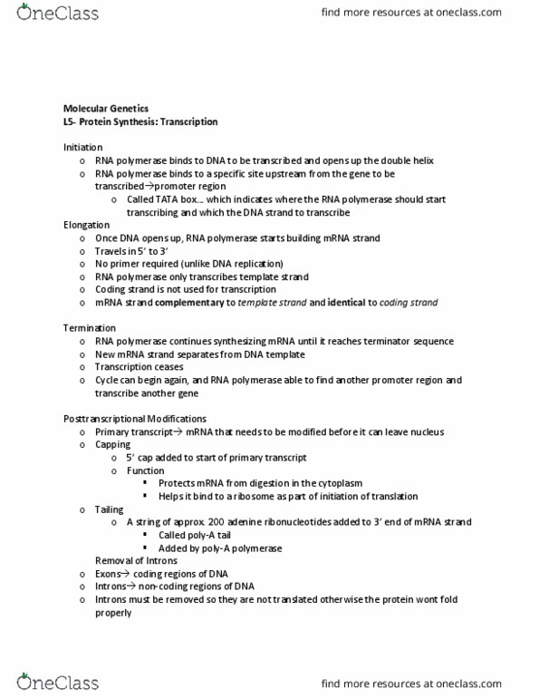 FARE 1040 Lecture Notes - Lecture 5: Coding Strand, Tata Box, Primary Transcript thumbnail