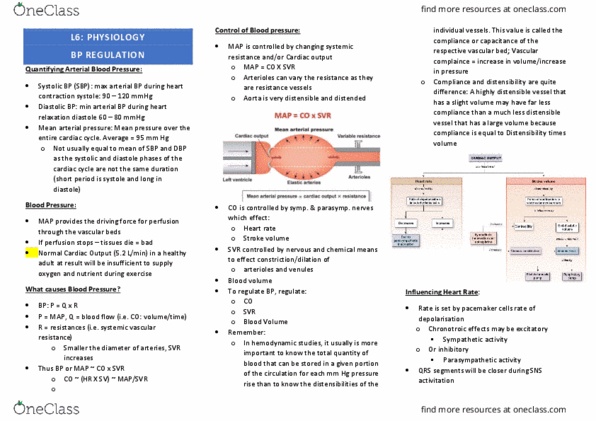 IMED3001 Lecture Notes - Lecture 6: Mean Arterial Pressure, Vascular Resistance, Cardiac Output thumbnail
