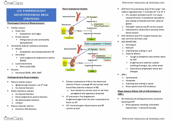 IMED3001 Lecture Notes - Lecture 14: Ace Inhibitor, Juxtaglomerular Apparatus, Perindopril thumbnail