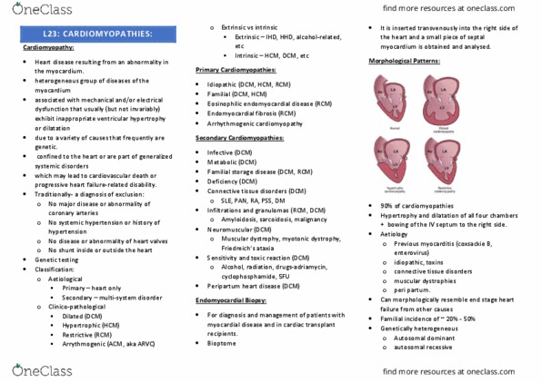 IMED3001 Lecture Notes - Lecture 23: Hypereosinophilic Syndrome, Hypertrophic Cardiomyopathy, Myotonic Dystrophy thumbnail