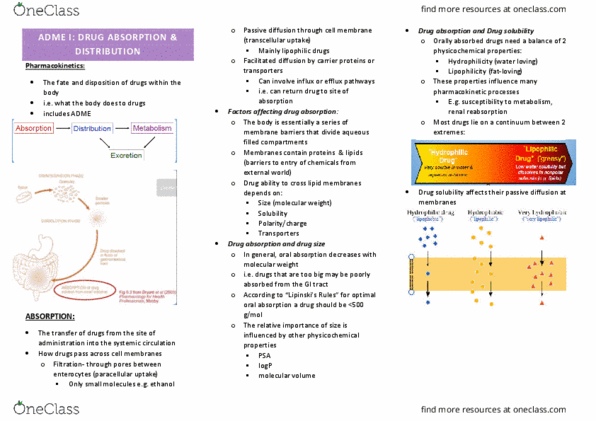 PHAR2210 Lecture Notes - Lecture 2: Facilitated Diffusion, Lipophilicity, Drug Metabolism thumbnail