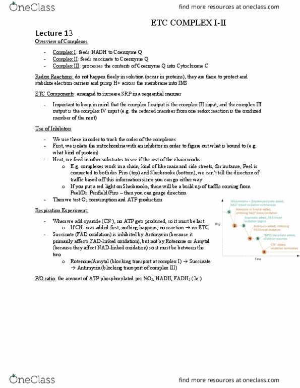BIOC 311 Lecture Notes - Lecture 13: Nadh Dehydrogenase, Succinic Acid, Rotenone thumbnail