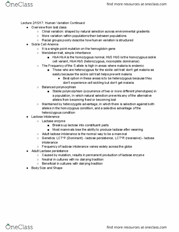 ANTH 1001 Lecture Notes - Lecture 7: Sickle-Cell Disease, Lactose Intolerance, Lactase thumbnail