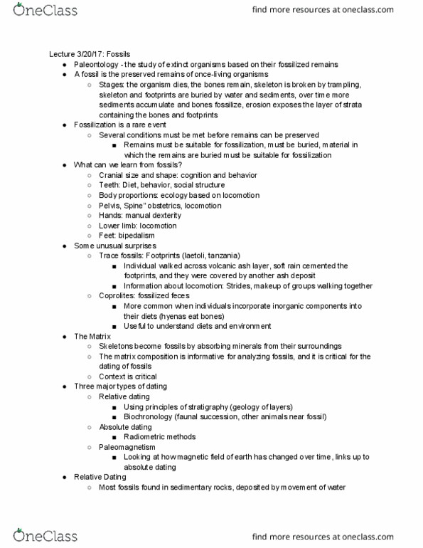 ANTH 1001 Lecture Notes - Lecture 15: Biochronology, Principle Of Faunal Succession, Absolute Dating thumbnail