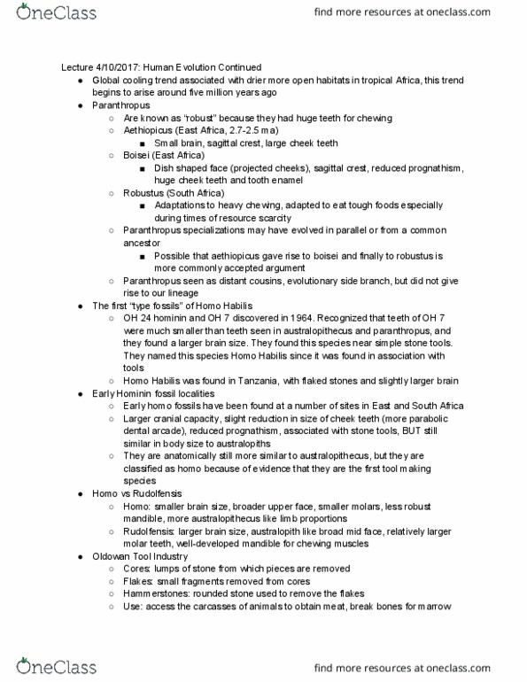 ANTH 1001 Lecture Notes - Lecture 17: Homo Habilis, Sagittal Crest, Tooth Enamel thumbnail