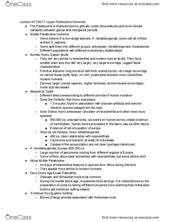 ANTH 1001 Lecture Notes - Lecture 23: Atapuerca Mountains, Homo Antecessor, Late Pleistocene thumbnail