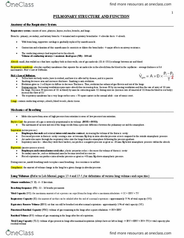 BPK 142 Lecture Notes - Lecture 7: External Intercostal Muscles, Alveolar Pressure, Bronchus thumbnail