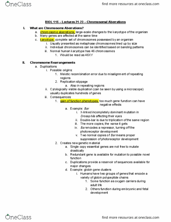 BIOL 115 Lecture Notes - Lecture 21: Origins Game Fair, Karyotype, Globin thumbnail