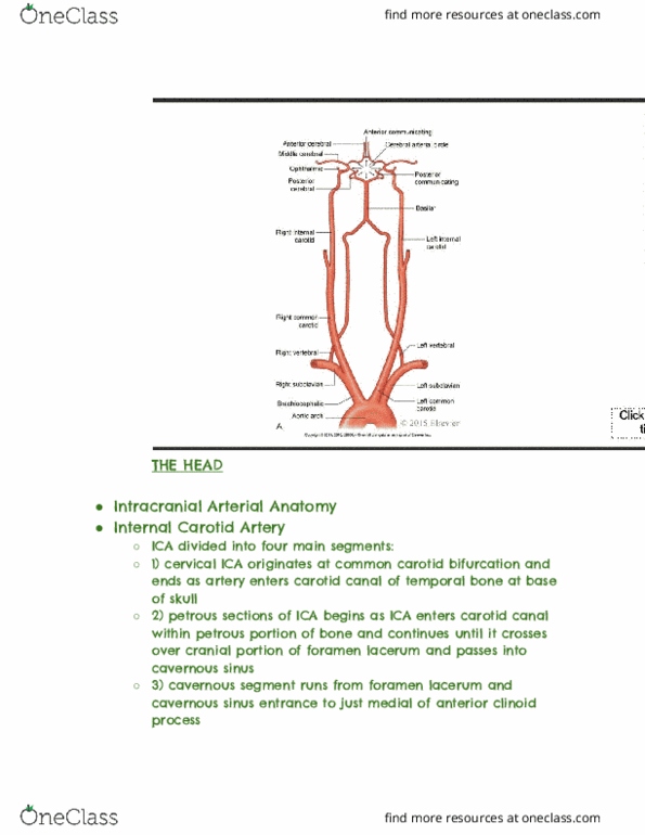 RIU 332 Lecture Notes - Lecture 45: Anterior Clinoid Process, Foramen Lacerum, Cavernous Sinus thumbnail
