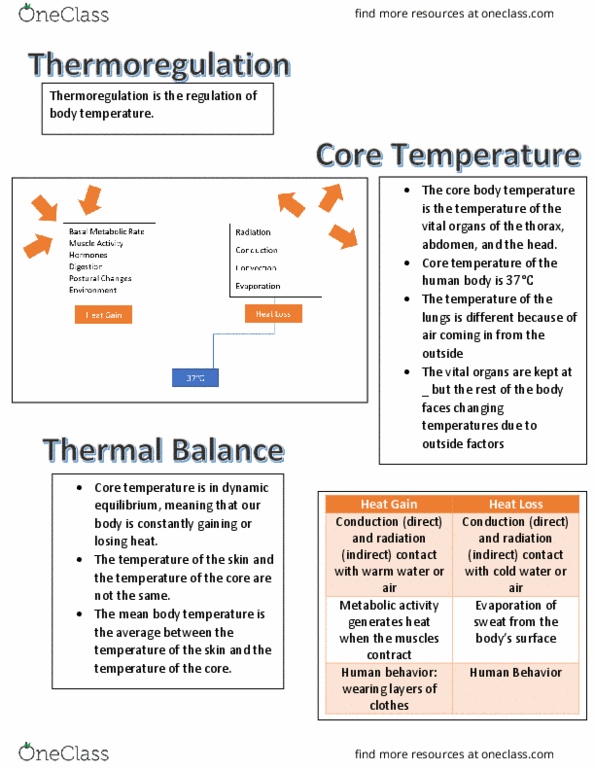 ES 2002 Lecture Notes - Lecture 6: Thermoregulation, Dynamic Equilibrium, Human Behavior thumbnail