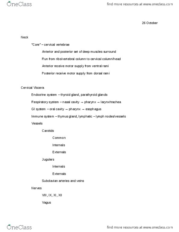 BMS 301 Lecture Notes - Sternum, Thyrohyoid Muscle, Omohyoid Muscle thumbnail