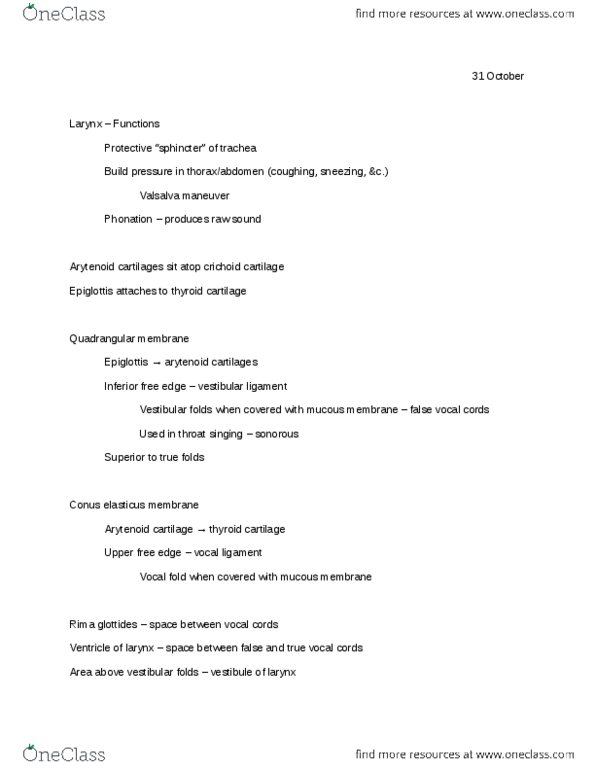BMS 301 Lecture Notes - Anatomical Terms Of Motion, Paranasal Sinuses, Adduct thumbnail