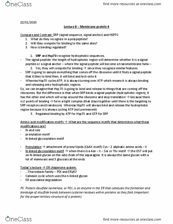 ANAT 212 Lecture Notes - Lecture 8: Protein Disulfide-Isomerase, Prenylation, Signal Peptide thumbnail