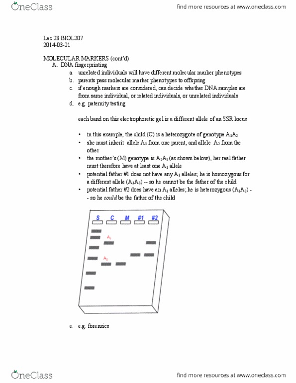 STAT151 Lecture Notes - Association Mapping, Allele Frequency, Dna Profiling thumbnail