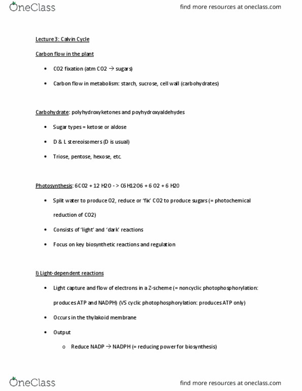 BIOL 458 Lecture Notes - Lecture 3: Photophosphorylation, Thylakoid, Light-Independent Reactions thumbnail