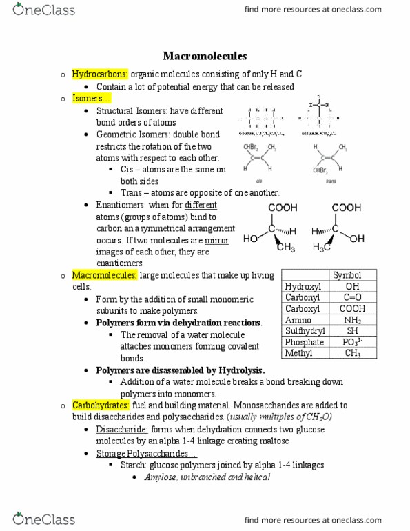 BIOL107 Lecture Notes - Lecture 2: Enantiomer, Amylose, Disaccharide thumbnail