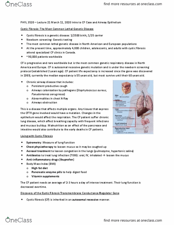 PHYL 3520 Lecture Notes - Lecture 21: Body Mass Index, Cystic Fibrosis, Chest Physiotherapy thumbnail