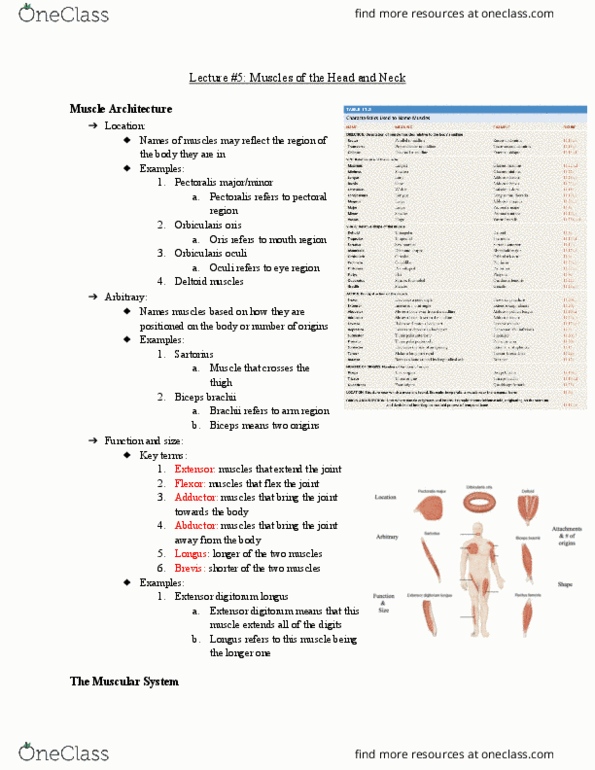 document preview image