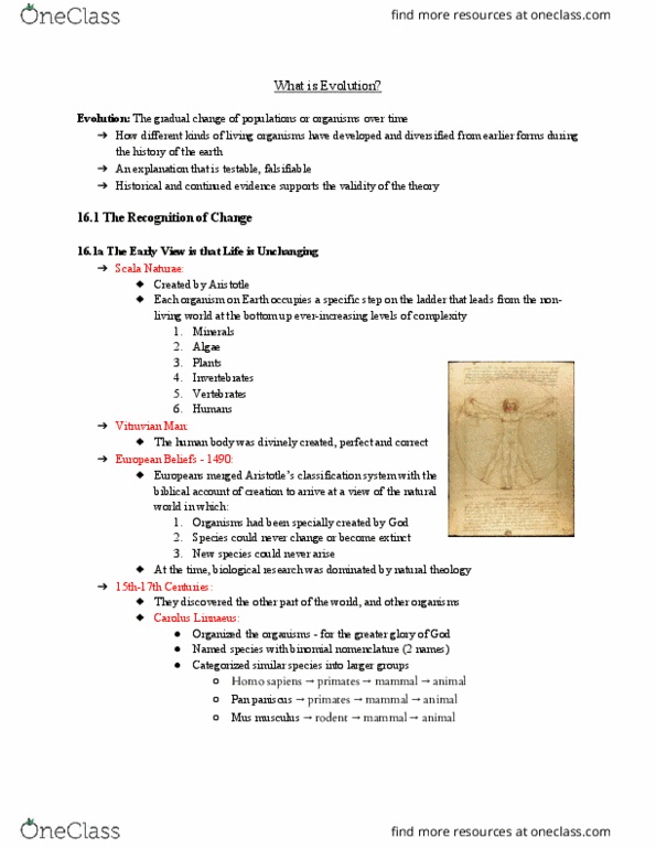 Biology 1201A Lecture Notes - Lecture 1: House Mouse, Bonobo, Carl Linnaeus thumbnail