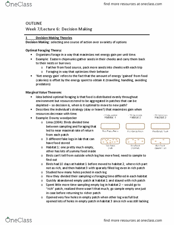 PSYC 205 Lecture Notes - Lecture 6: Net Energy Gain, Optimal Foraging Theory, Downy Woodpecker thumbnail