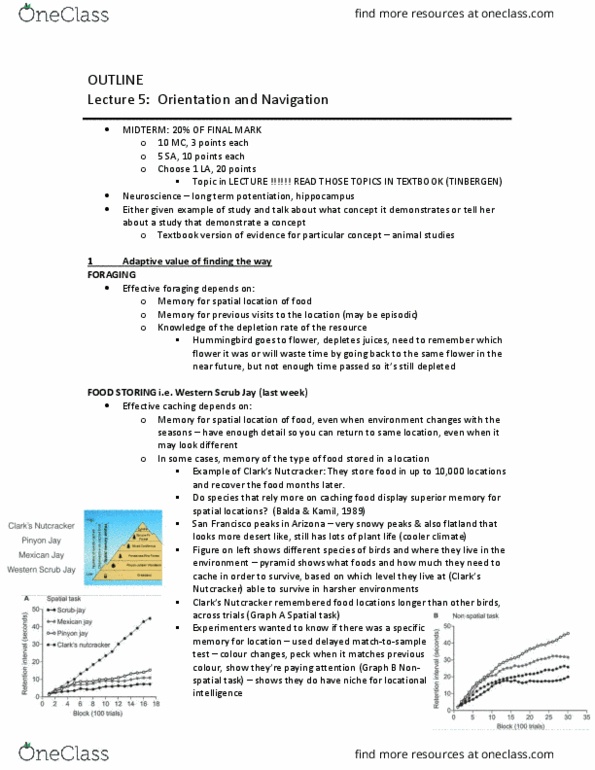 PSYC 205 Lecture Notes - Lecture 5: San Francisco Peaks, Long-Term Potentiation, Morris Water Navigation Task thumbnail