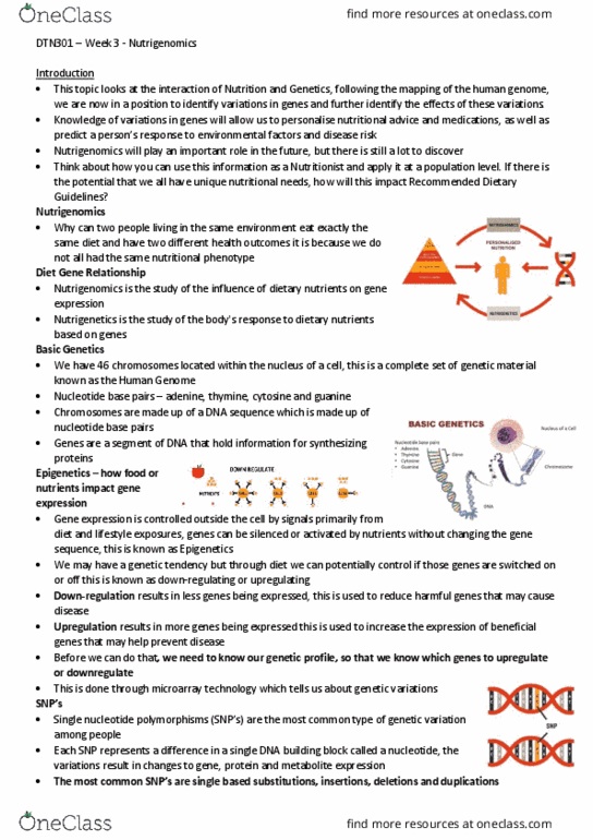 DTN301 Lecture Notes - Lecture 3: Nutrigenomics, Nutrigenetics, Gene Expression thumbnail