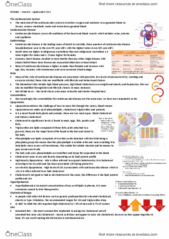 DTN301 Lecture Notes - Lecture 6: Low-Density Lipoprotein, Hypercholesterolemia, Myocardial Infarction thumbnail