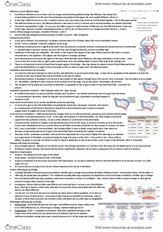 HBS204 Lecture 2: Week 2 - The Respiratory System 2 - Part 2 thumbnail