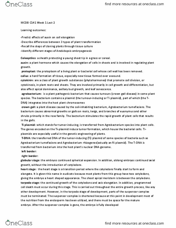 MCD BIO C141 Lecture Notes - Lecture 2: Rhizobium Rhizogenes, Agrobacterium Tumefaciens, Meristem thumbnail