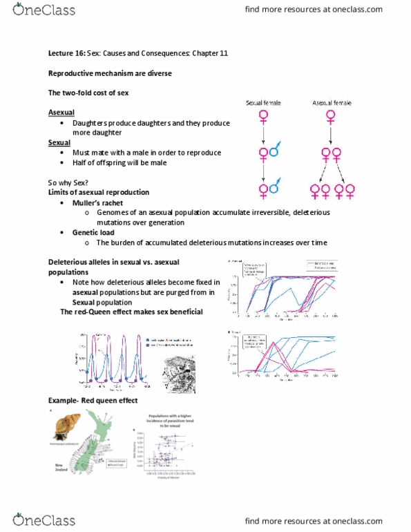 BIOB51H3 Lecture Notes - Lecture 16: Genetic Load, Sexual Reproduction, Parental Investment thumbnail