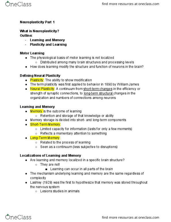 ENS 307 Lecture Notes - Lecture 13: Motor Learning, Temporal Lobe, Purkinje Cell thumbnail