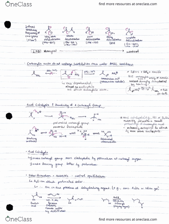 CHM243H5 Chapter 10: Nucleophilic Substitution at the Carbonyl Group [pt.2] thumbnail