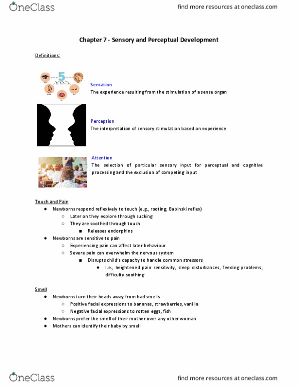 PSY 2105 Chapter Notes - Chapter 7: Plantar Reflex, Endorphins, Parallax thumbnail