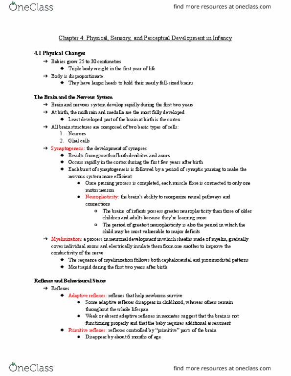 Health Sciences 2700A/B Chapter Notes - Chapter 4: Synaptic Pruning, Primitive Reflexes, Neuroplasticity thumbnail