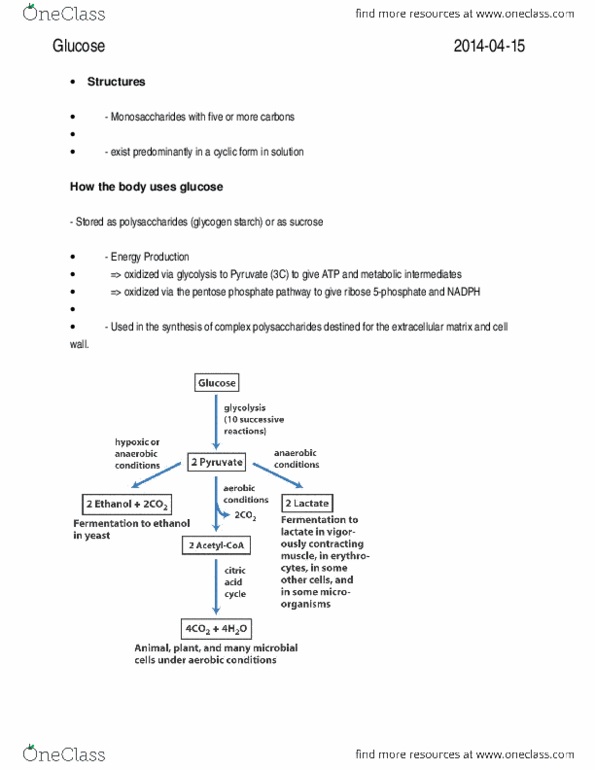 BIOL 201 Lecture Notes - Glycogen, Uracil, Citric Acid thumbnail