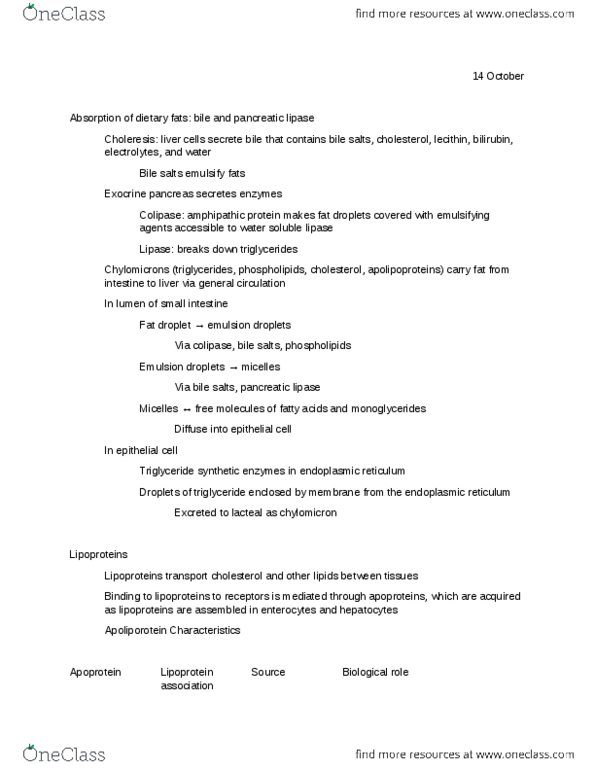 BMS 460 Lecture Notes - Critical Role, Stercobilin, Uridine Diphosphate thumbnail