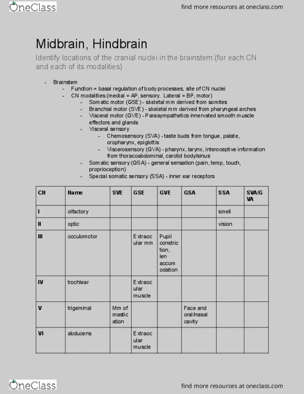 ACB 8120 Lecture Notes - Lecture 6: Soviet Military Administration In Germany, Cranial Nerve Nucleus, Carotid Body thumbnail